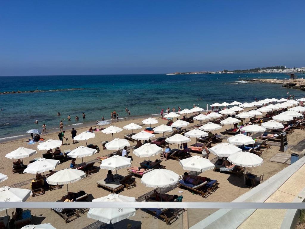 Modern 2Br Apartment With Pool, Veranda & Garden In Paphos Exterior photo